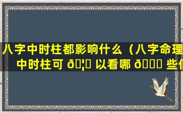 八字中时柱都影响什么（八字命理中时柱可 🦉 以看哪 💐 些信息）